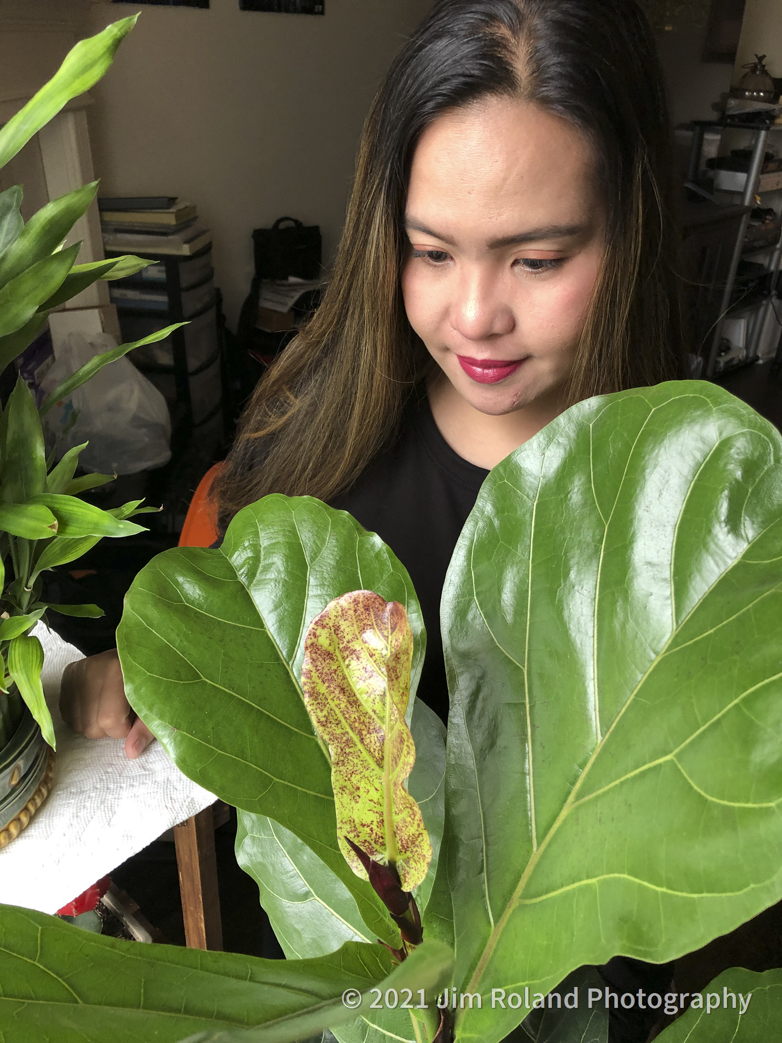 Portfolio-2021Feb-29