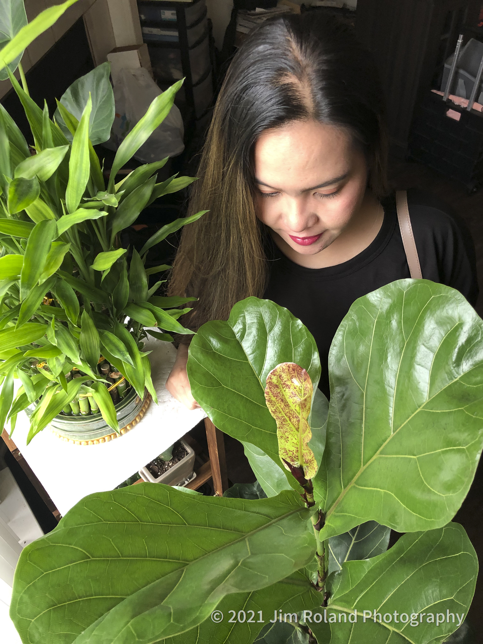 Portfolio-2021Feb-30